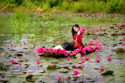 女人黑色长袖衬衫坐在粉红色的花坛

